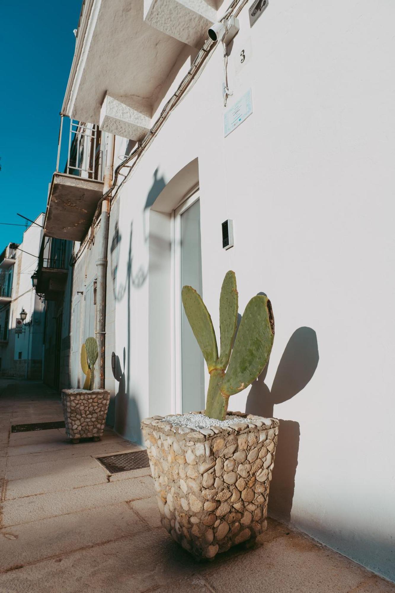 Casa Pagano Vila Noicattaro Exterior foto